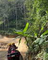 shelly_roberin Altpins Profile Picture
