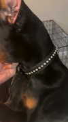 miss_baby007 Altpins Profile Picture