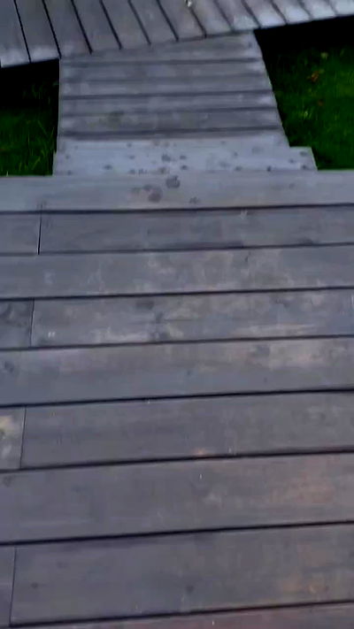 nyityam nyityam archive video