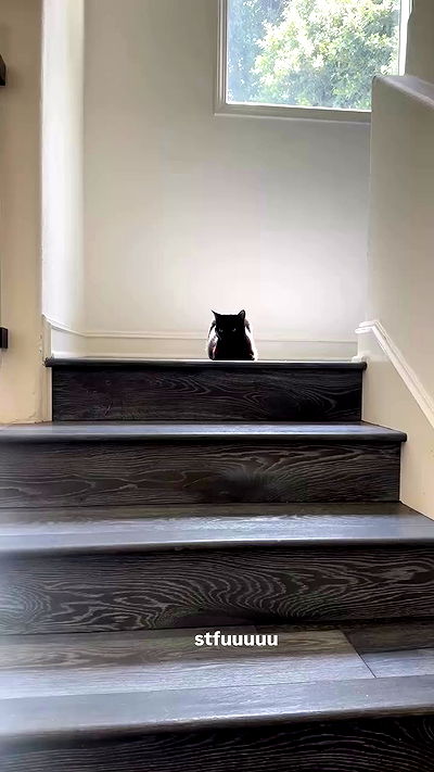 little.warren_ little.warren_ archive video