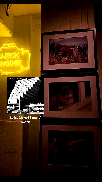 avital_1010.2003 avital_1010.2003 archive video