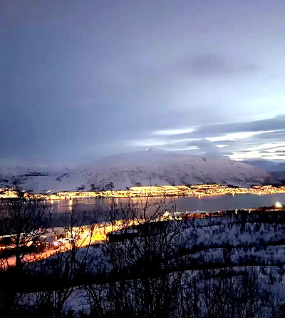 silkton silkton archive video