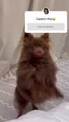 lizakovalenkoo Altpins Profile Picture