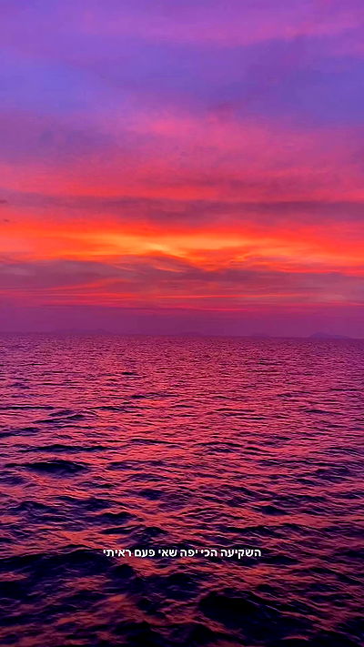 yam_adler yam_adler archive video