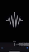 charli_xcx Altpins Profile Picture