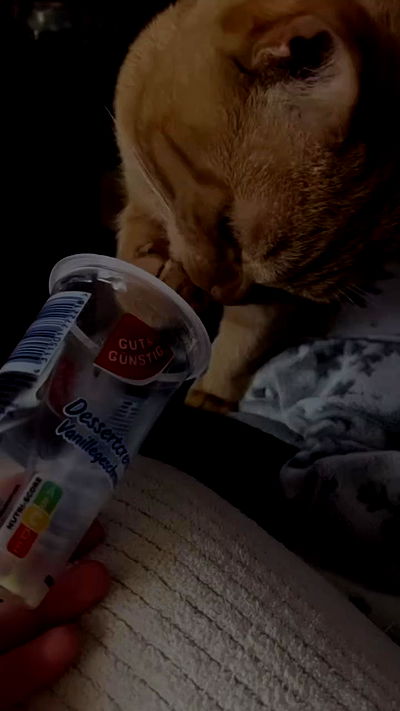 yoo.mon yoo.mon archive video