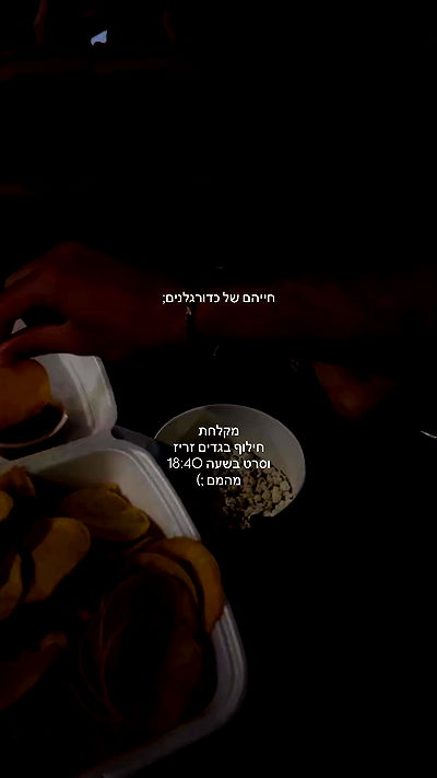 roni.benshushan roni.benshushan archive video