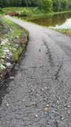 sarah.anne.dipity Altpins Profile Picture