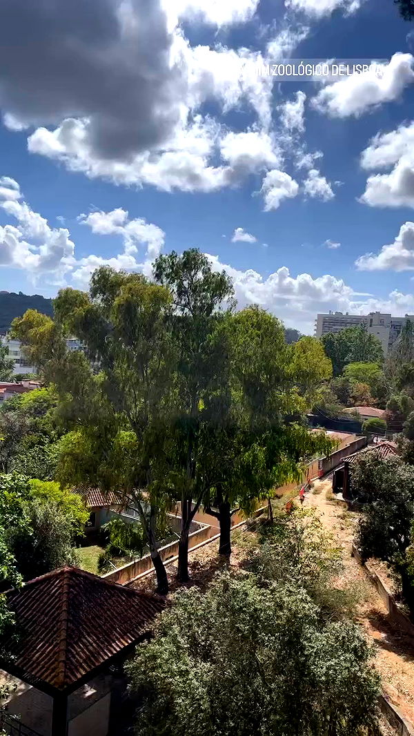 jaroslava_klavir archive video preview