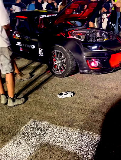 simp_for_cats_ simp_for_cats_ archive video