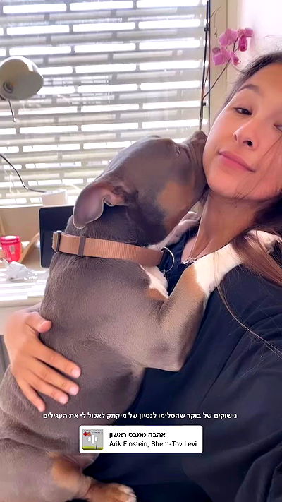 kesemgreenyer kesemgreenyer archive video