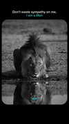 iamrohanvibes Altpins Profile Picture