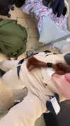 diana.minaev_ Altpins Profile Picture