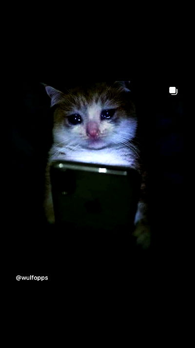 _._dianush._ _._dianush._ archive video