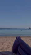 daniella_zeldis Altpins Profile Picture