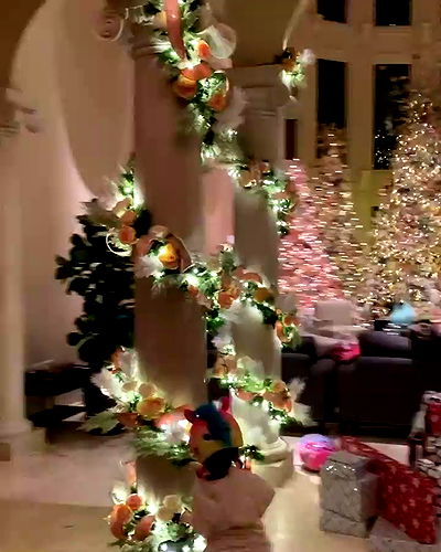 iamcardib iamcardib archive video