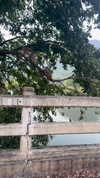 noa_mendel_ Altpins Profile Picture