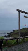 ngha_nhi Altpins Profile Picture