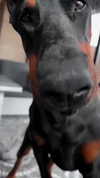 miss_baby007 Altpins Profile Picture