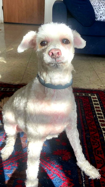 feelbetterinmysweater feelbetterinmysweater archive video