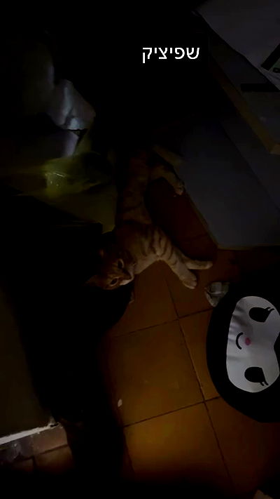 hellokittyangel666 hellokittyangel666 archive video