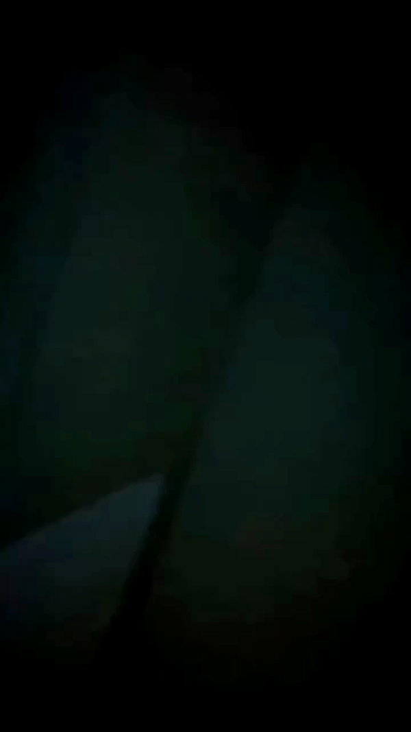 unknown archive video preview
