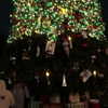 roseasmrofficial Altpins Profile Picture