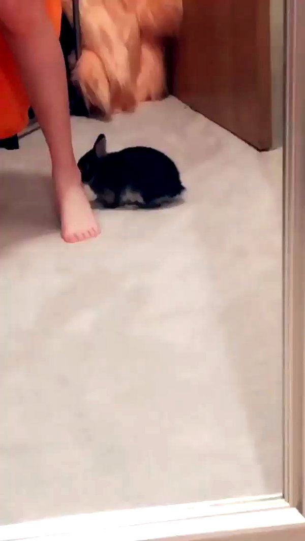 emiru.jpg archive video preview