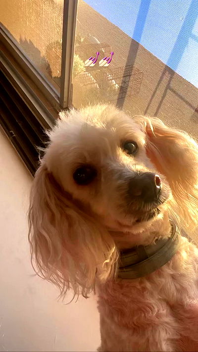 feelbetterinmysweater feelbetterinmysweater archive video