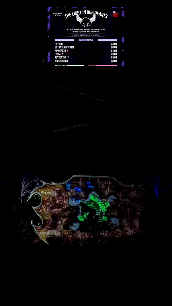 liiuuarr archive video preview