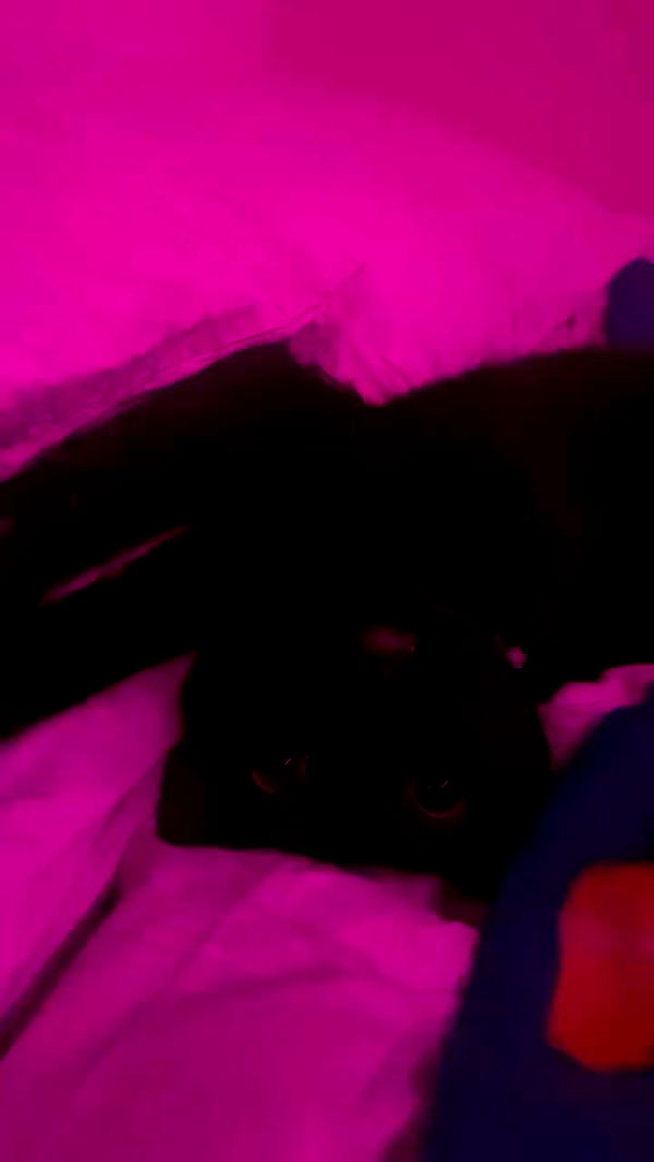 feelbetterinmysweater archive video preview