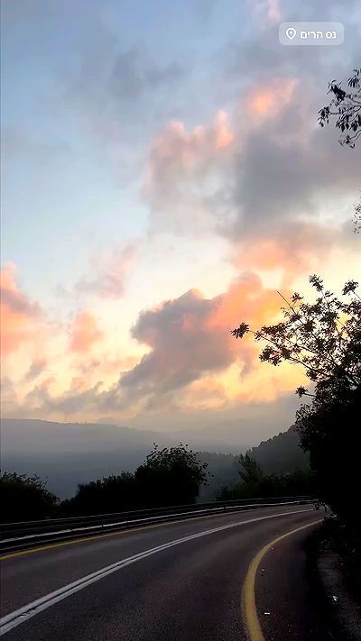 simp_for_cats_ simp_for_cats_ archive video