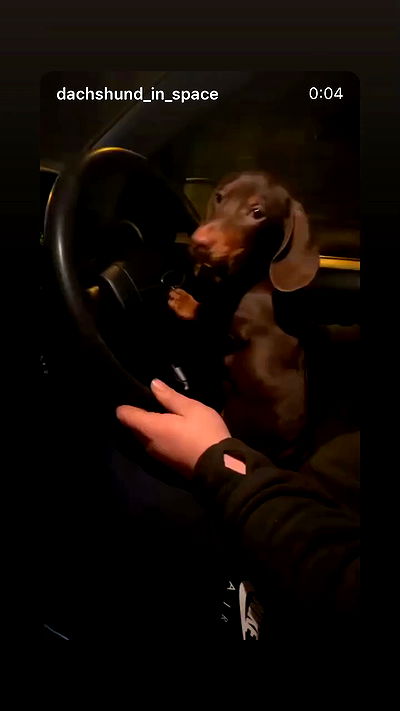 _._dianush._ _._dianush._ archive video