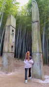 sonya_fisher_ Altpins Profile Picture