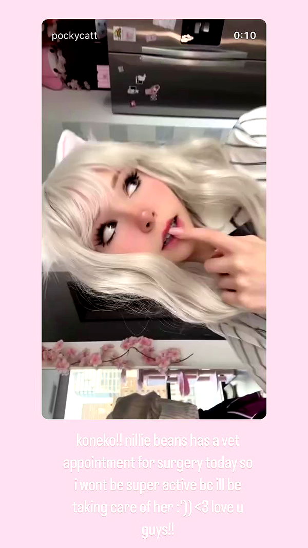 pockycatt archive video preview