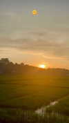 noa_mendel_ Altpins Profile Picture