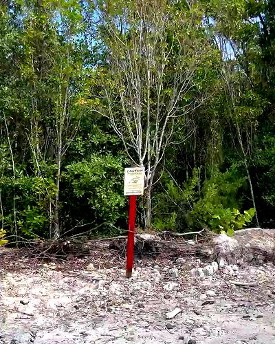 sophiemudd sophiemudd archive video