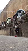 candy_balll Altpins Profile Picture