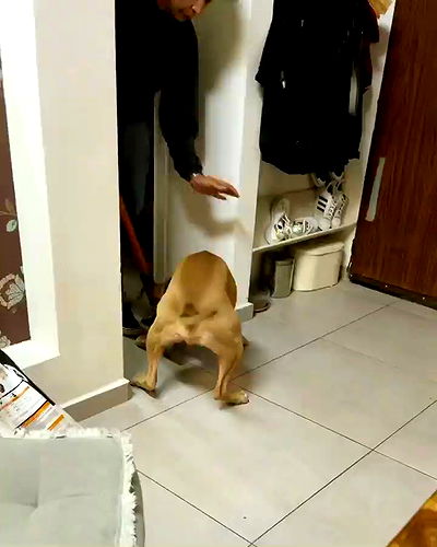 kesemgreenyer kesemgreenyer archive video