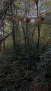xylia444 Altpins Profile Picture