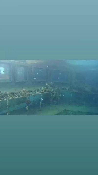 jaroslava_klavir jaroslava_klavir archive video