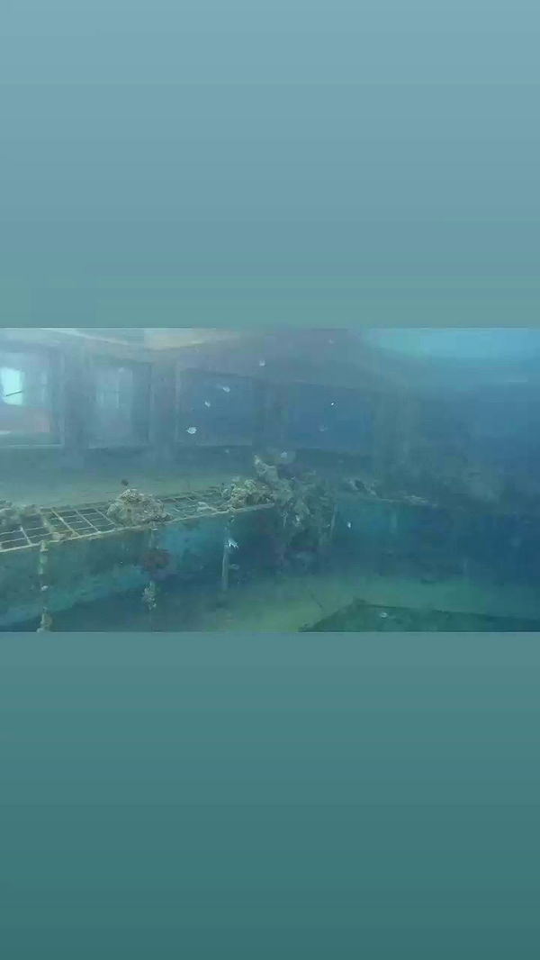 jaroslava_klavir archive video preview