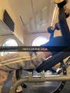 cclaire.bbear1 Altpins Profile Picture