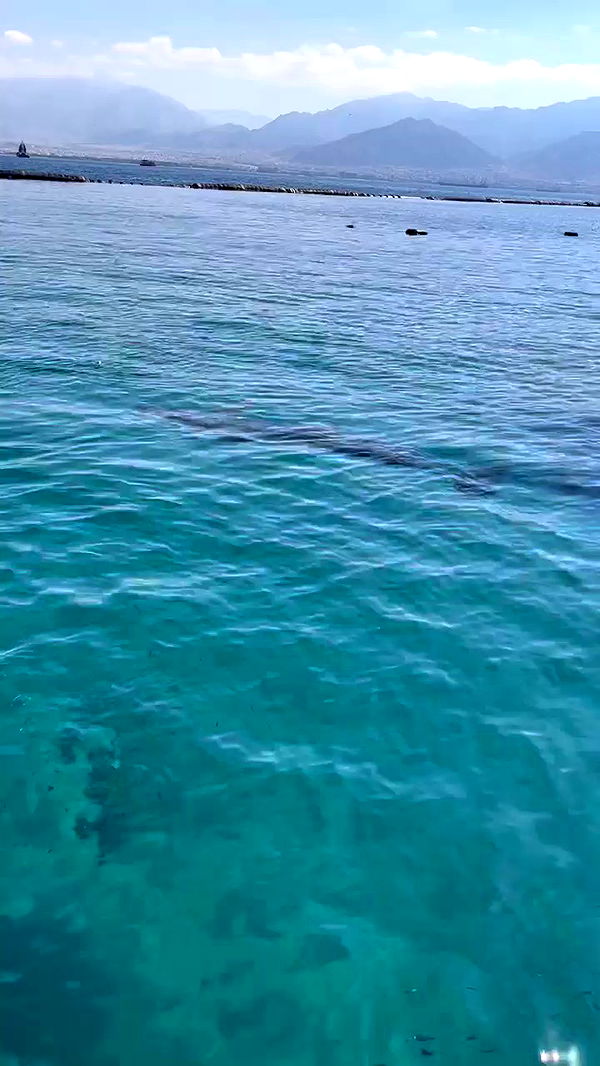 jaroslava_klavir archive video preview