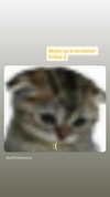 cellow111 Altpins Profile Picture