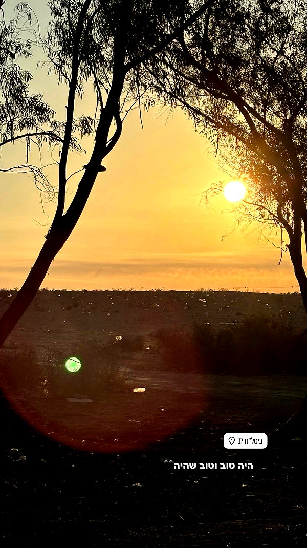 agam._.harel archive video preview
