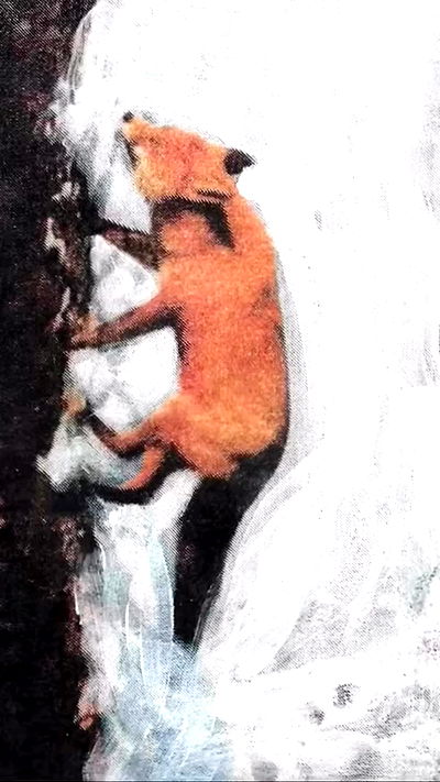 feelbetterinmysweater feelbetterinmysweater archive video