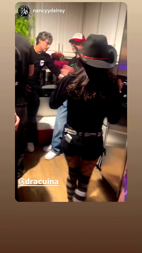 dracuina archive video preview