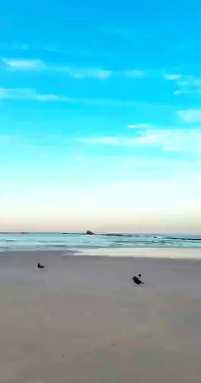 noyaislilith333 noyaislilith333 archive video