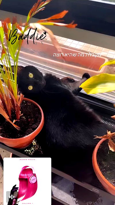 hellokittyangel666 hellokittyangel666 archive video